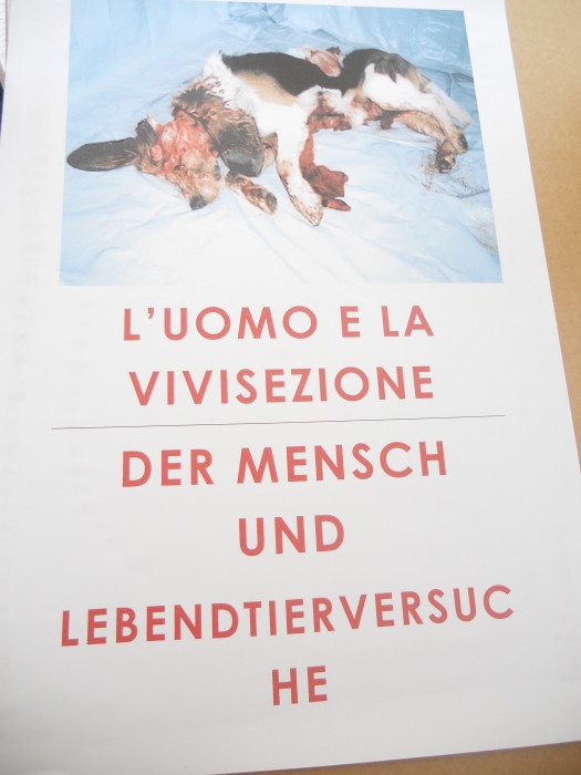 Bolzano 04.02.2012 manifestazione contro lo sfruttamento degli animali manifestazione contro lo sfruttamento degli animali 20120205 1596308154