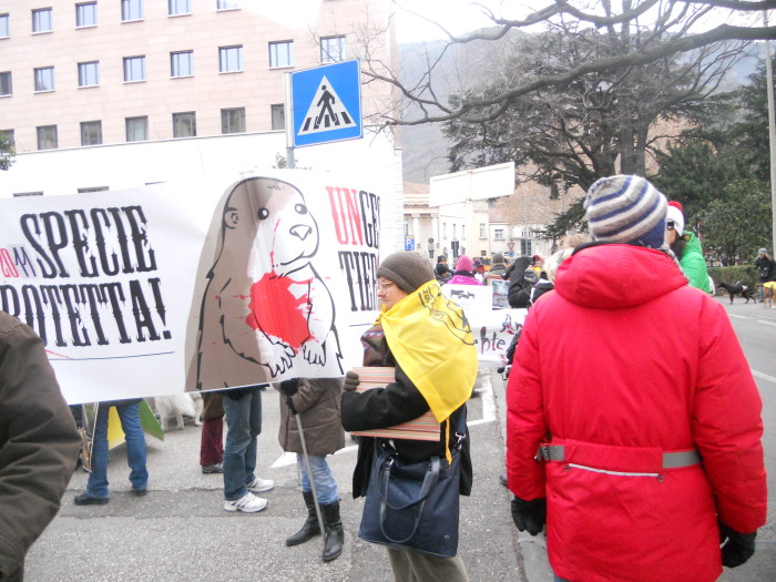 Bolzano 04.02.2012 manifestazione contro lo sfruttamento degli animali manifestazione contro lo sfruttamento degli animali 20120205 1597353343