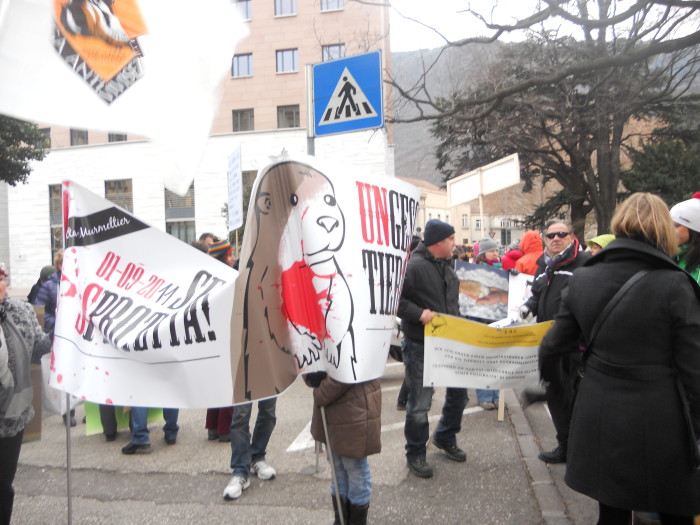 Bolzano 04.02.2012 manifestazione contro lo sfruttamento degli animali manifestazione contro lo sfruttamento degli animali 20120205 1708884763