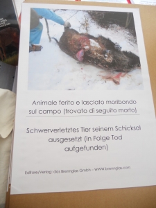 Bolzano 04.02.2012 manifestazione contro lo sfruttamento degli animali manifestazione contro lo sfruttamento degli animali 20120205 1795675900