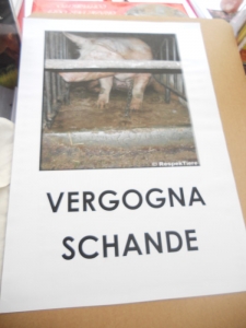 Bolzano 04.02.2012 manifestazione contro lo sfruttamento degli animali manifestazione contro lo sfruttamento degli animali 20120205 2004534988