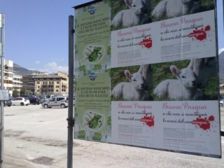 TRENTO - AFFISSIONE MANIFESTI BUONA PASQUA SENZA CRUDELTA' 2014 manifesti trento buona pasqua senza crudelta 20140409 1412727526 1