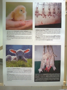 FA' LA COSA GIUSTA 2011 - MOSTRA ANIMALISTA mostra animalista sui macelli 20111101 1173740084