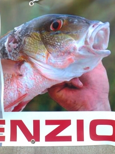 Presidio alla Fiera Caccia e Pesca di Riva del Garda 31.03.2012 146