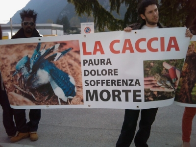 Riva del Garda 26.03 - Sit-in contro la fiera della caccia e della pesca sit in animalista fiera caccia e p 20130212 1185643370