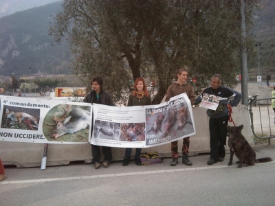 Riva del Garda 26.03 - Sit-in contro la fiera della caccia e della pesca sit in animalista fiera caccia e p 20130212 2099599862