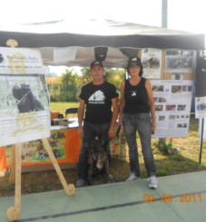 tavolo_animals_asia_20110903_1023331561 tavolo_animals_asia_20110903_1023331561