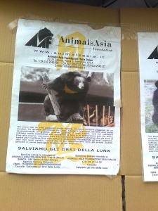TAVOLO ANIMALS ASIA DEL 16.07.2011 tavolo per gli orsi delle fattorie della 20130212 1194727073