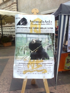 TAVOLO ANIMALS ASIA DEL 16.07.2011 tavolo per gli orsi delle fattorie della 20130212 1930733603