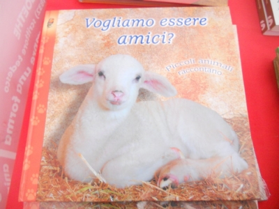 03 dicembre 2011 Trento fiaccolata per denunciare lo sterminio degli animali nel periodo natalizio (e non solo!) 105
