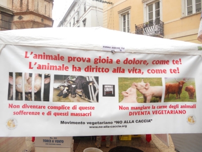 03 dicembre 2011 Trento fiaccolata per denunciare lo sterminio degli animali nel periodo natalizio (e non solo!) 109