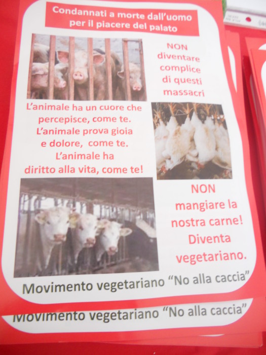 03 dicembre 2011 Trento fiaccolata per denunciare lo sterminio degli animali nel periodo natalizio (e non solo!) trento 03 dicembre fiacco 20130212 1438696308
