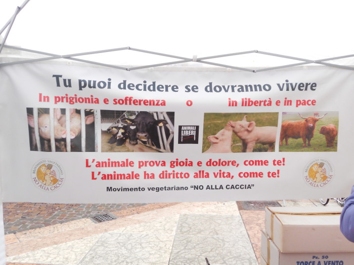 03 dicembre 2011 Trento fiaccolata per denunciare lo sterminio degli animali nel periodo natalizio (e non solo!) 304