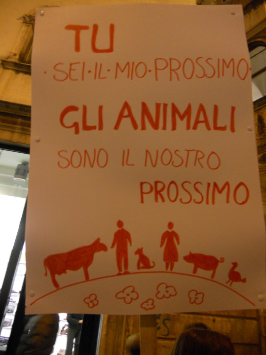 03 dicembre 2011 Trento fiaccolata per denunciare lo sterminio degli animali nel periodo natalizio (e non solo!) 312