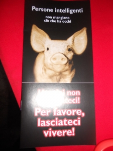 03 dicembre 2011 Trento fiaccolata per denunciare lo sterminio degli animali nel periodo natalizio (e non solo!) 132