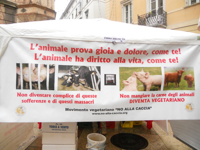 03 dicembre 2011 Trento fiaccolata per denunciare lo sterminio degli animali nel periodo natalizio (e non solo!) 321