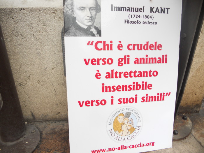 03 dicembre 2011 Trento fiaccolata per denunciare lo sterminio degli animali nel periodo natalizio (e non solo!) 331