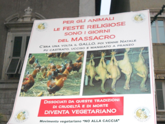 03 dicembre 2011 Trento fiaccolata per denunciare lo sterminio degli animali nel periodo natalizio (e non solo!) 336
