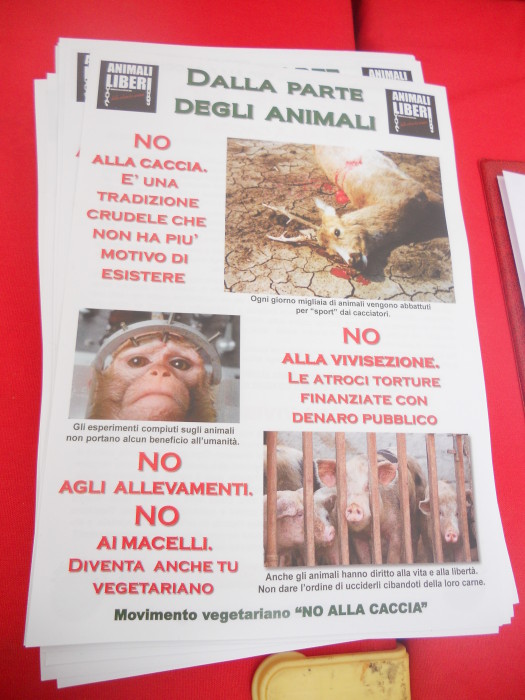03 dicembre 2011 Trento fiaccolata per denunciare lo sterminio degli animali nel periodo natalizio (e non solo!) trento 03 dicembre fiaccolata 20111203 1220978987