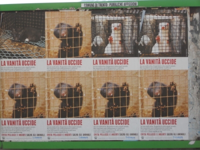 Campagna contro le pellicce - Trento dicembre 2012 trento campagna contro le pelli 20130212 1006279146