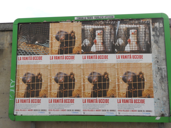 Campagna contro le pellicce - Trento dicembre 2012 trento campagna contro le pelli 20130212 1910638319