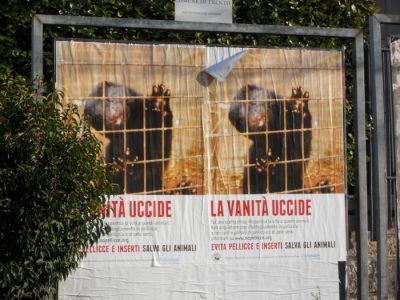 Campagna contro le pellicce - Trento dicembre 2012 trento campagna contro le pelliccie 20130101 1144861989