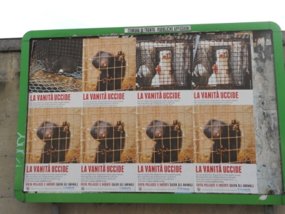 Campagna contro le pellicce - Trento dicembre 2012 trento campagna contro le pelliccie 20130101 1777064642