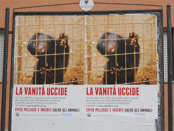 Campagna contro le pellicce - Trento dicembre 2012 33