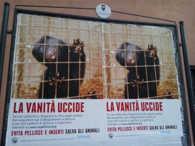 Campagna contro le pellicce - Trento dicembre 2012 trento dicembre 2012 20130101 1071499496