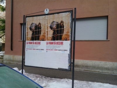 Campagna contro le pellicce - Trento dicembre 2012 trento dicembre 2012 20130101 1551888394