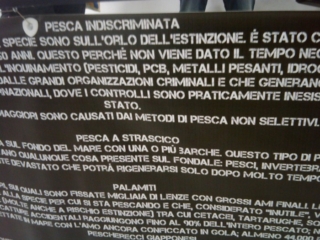 VEGAN FEST 2011- 22/25 APRILE - CAMARIORE vegan fest 2011 camaiore 20110427 1008504012