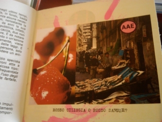 VEGAN FEST 2011- 22/25 APRILE - CAMARIORE vegan fest 2011 camaiore 20110427 1052201496