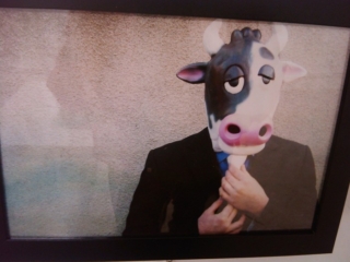 VEGAN FEST 2011- 22/25 APRILE - CAMARIORE vegan fest 2011 camaiore 20110427 1064265709