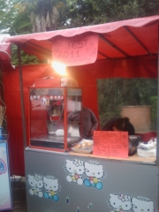 VEGAN FEST 2011- 22/25 APRILE - CAMARIORE vegan fest 2011 camaiore 20110427 1108355822