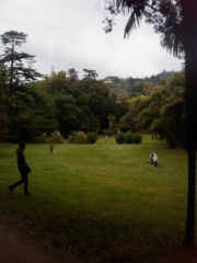 VEGAN FEST 2011- 22/25 APRILE - CAMARIORE vegan fest 2011 camaiore 20110427 1188621959