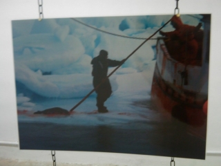 VEGAN FEST 2011- 22/25 APRILE - CAMARIORE vegan fest 2011 camaiore 20110427 1206058208