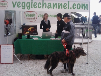 VEGAN FEST 2011- 22/25 APRILE - CAMARIORE vegan fest 2011 camaiore 20110427 1210131386
