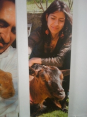 VEGAN FEST 2011- 22/25 APRILE - CAMARIORE vegan fest 2011 camaiore 20110427 1214657265