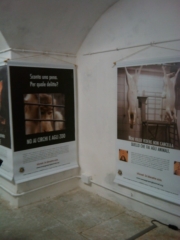 VEGAN FEST 2011- 22/25 APRILE - CAMARIORE vegan fest 2011 camaiore 20110427 1224385299