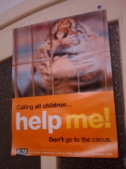 VEGAN FEST 2011- 22/25 APRILE - CAMARIORE vegan fest 2011 camaiore 20110427 1239103810