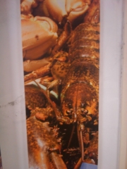 VEGAN FEST 2011- 22/25 APRILE - CAMARIORE vegan fest 2011 camaiore 20110427 1302913884