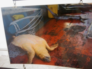 VEGAN FEST 2011- 22/25 APRILE - CAMARIORE vegan fest 2011 camaiore 20110427 1317753590