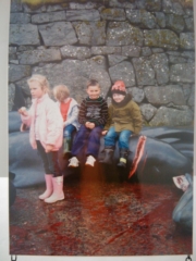 VEGAN FEST 2011- 22/25 APRILE - CAMARIORE vegan fest 2011 camaiore 20110427 1345183111