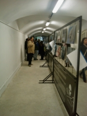 VEGAN FEST 2011- 22/25 APRILE - CAMARIORE vegan fest 2011 camaiore 20110427 1400925610