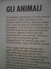 VEGAN FEST 2011- 22/25 APRILE - CAMARIORE vegan fest 2011 camaiore 20110427 1408105671