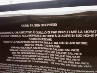 VEGAN FEST 2011- 22/25 APRILE - CAMARIORE vegan fest 2011 camaiore 20110427 1416730608