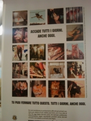 VEGAN FEST 2011- 22/25 APRILE - CAMARIORE vegan fest 2011 camaiore 20110427 1420060450