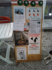 VEGAN FEST 2011- 22/25 APRILE - CAMARIORE vegan fest 2011 camaiore 20110427 1438290510