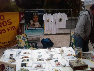 VEGAN FEST 2011- 22/25 APRILE - CAMARIORE vegan fest 2011 camaiore 20110427 1442842733