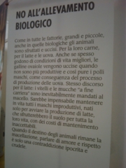 VEGAN FEST 2011- 22/25 APRILE - CAMARIORE vegan fest 2011 camaiore 20110427 1479307518